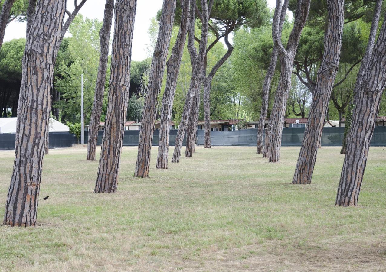 Casa Per Ferie Il Pioppo Hotel Marina di Massa Exterior foto
